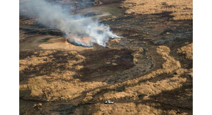 Argentine marshland threatened by worst fires in decades
