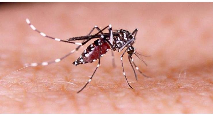 Punjab govt gears up steps to deal with expected dengue attack

