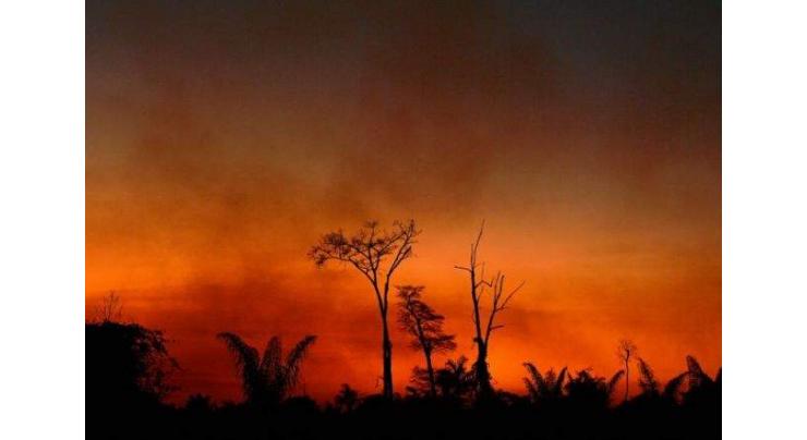 1,600 km2 of Brazilian Amazon deforested in July
