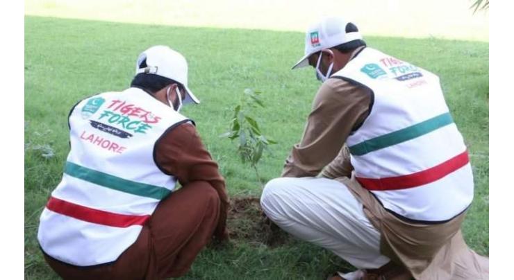 MS BVH participates in Tiger Force tree plantation drive
