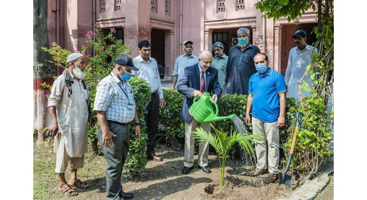 UVAS VC launched tree plantation drive to promote greenery under PM Country's Largest Tree Plantation Campaign