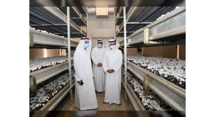 Minister of Climate Change tours modern Emirati farms, explores ways of enhancing agri-tech