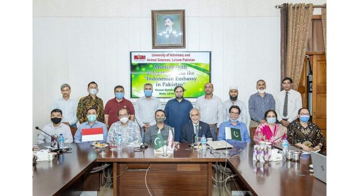 UVAS scientists, Indonesian delegation discuss COVID-19 trajectory in Pakistan