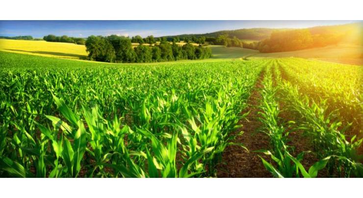 Rs 300b agriculture projects being implemented in Punjab
