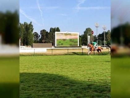 الجواد &quot;جوغورثا&quot; يفوز بأول سباق للخيول العربية الأصيلة في فيشي بفرنسا