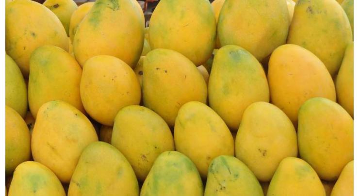 Secy Agriculture  S.Punjab for promotion of profit generating mango varieties
