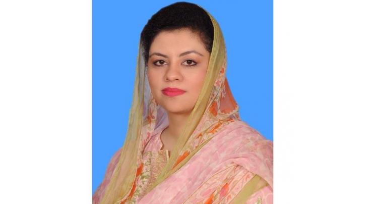 Kanwal Shauzab calls for collective efforts to end violence against women
