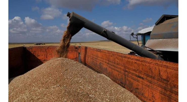 Kazakh agricultural exports to China soar 15 pct in H1
