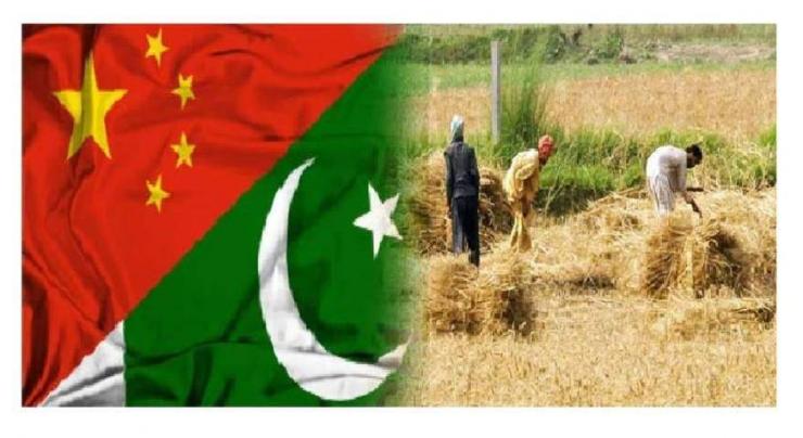 China to assist Pakistan in developing dates processing plants, onion cold storages in Southern Balochistan
