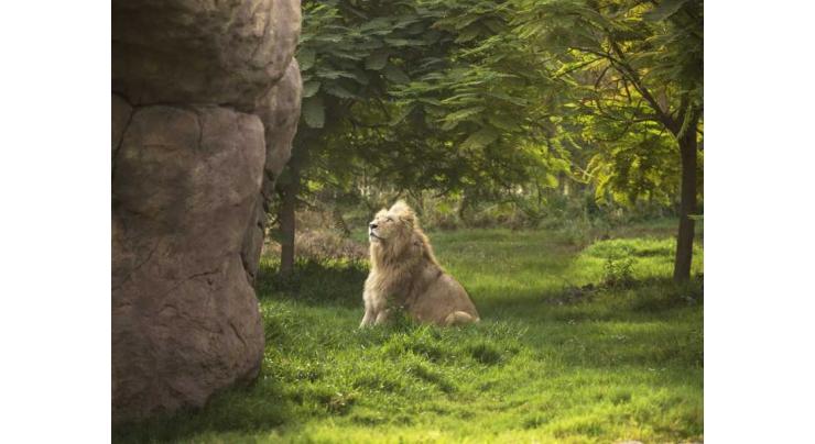 Dubai Safari Park to welcome visitors from 5th October