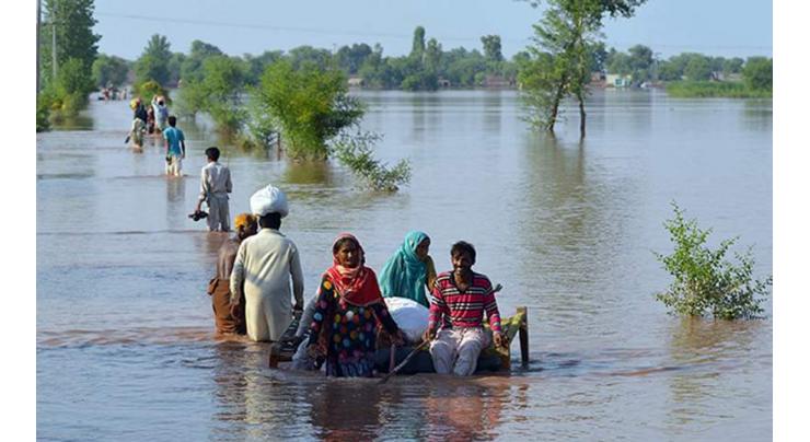 PTI leader holds provincial irrigation department for floods and associated loss in Sindh
