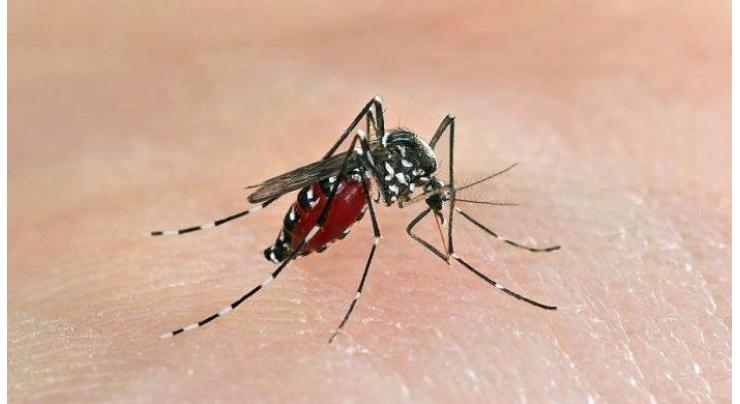 Anti-dengue campaign underway: Deputy Commissioner 
