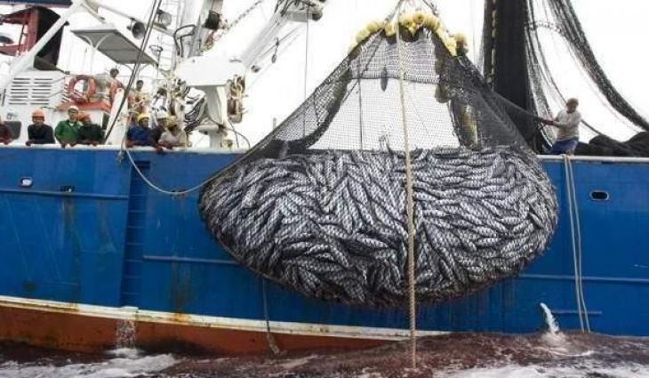 Efforts underway to bring innovation in deep-water fishing industry: Maritime Affairs