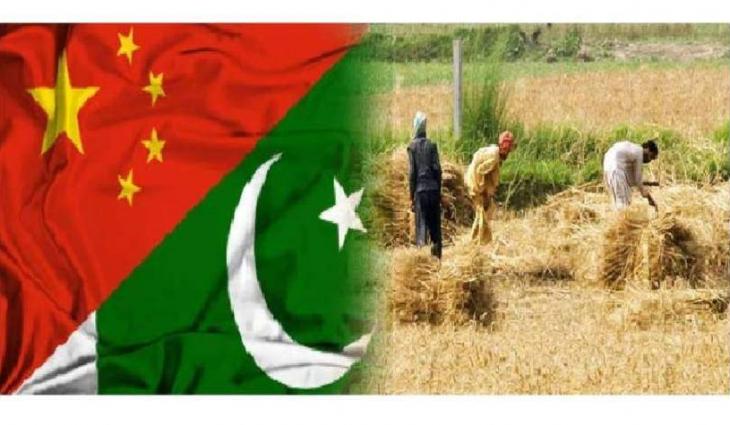 China to assist Pakistan in developing dates processing plants, onion cold storages in Southern Balochistan