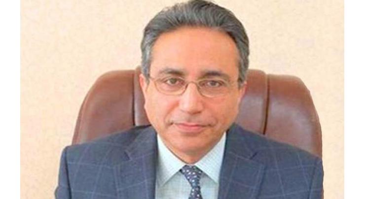 Govt working on long term reform policy for much neglected energy sector: Nadeem Babar
