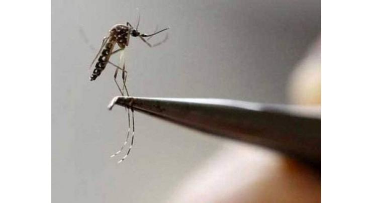 38 booked over breeding of dengue larvae
