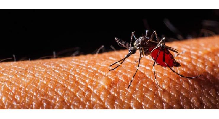Commissioner directs to combat dengue on emergency basis
