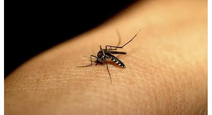 'Steps being taken to prevent spread of dengue larvae'
