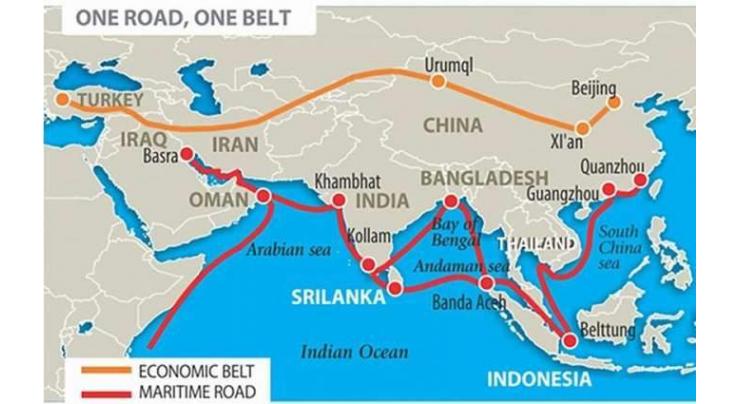 China's investment increases in Belt and Road countries
