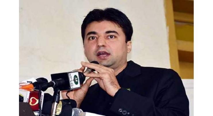 Constitution stresses for promotion of national, regional languages: Murad Saeed
