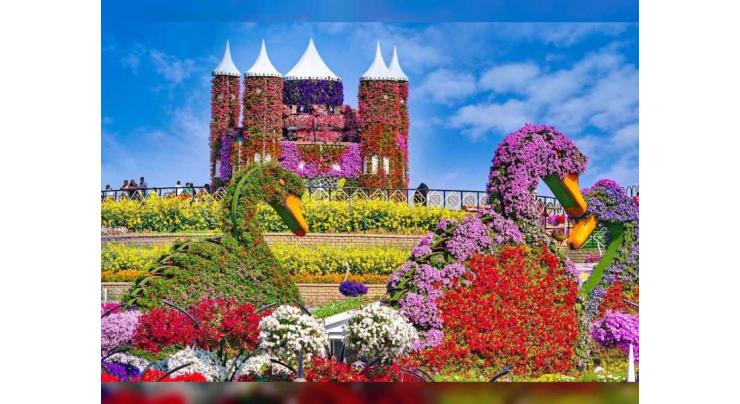 Dubai Miracle Garden set to welcome visitors on 1st November