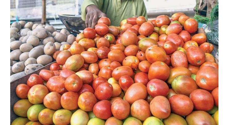 Prices of tomatoes plummeted after auction of six confiscated truckloads

