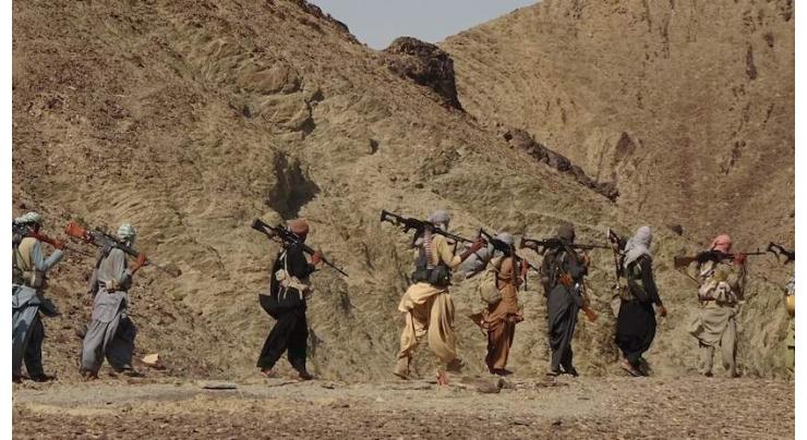Almost 20 Taliban Militants Killed Across Afghanistan, Including High-Ranking Official