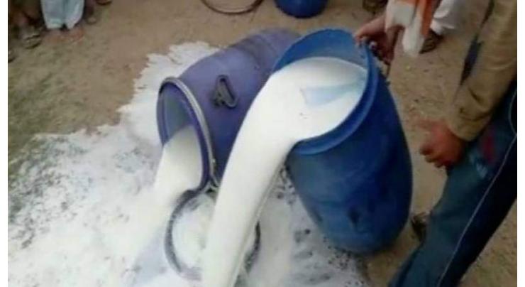 15000 liter spurious milk destroyed
