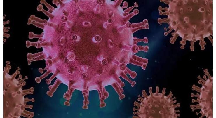 Synthetic mini-antibody identified to combat coronavirus
