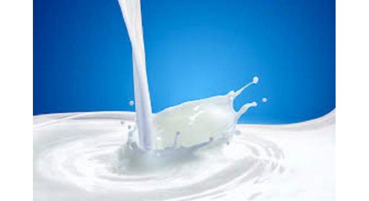 PFA disposes off 2000 litres adulterated milk
