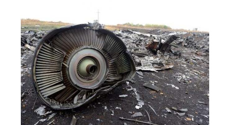Strasbourg Court to Rule on Russia Complaint After MH17 Criminal Trial Ends - Prosecutor
