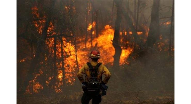 4,400 species globally facing threats from changes in wildfires

