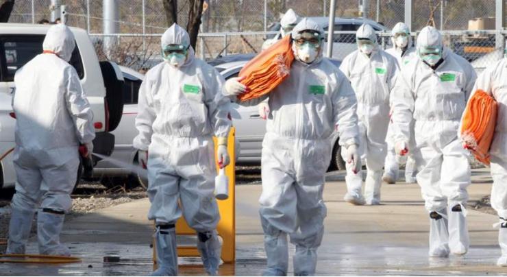 S. Korea Confirms First Outbreak of Bird Flu Among Poultry in 2020 - Agriculture Ministry