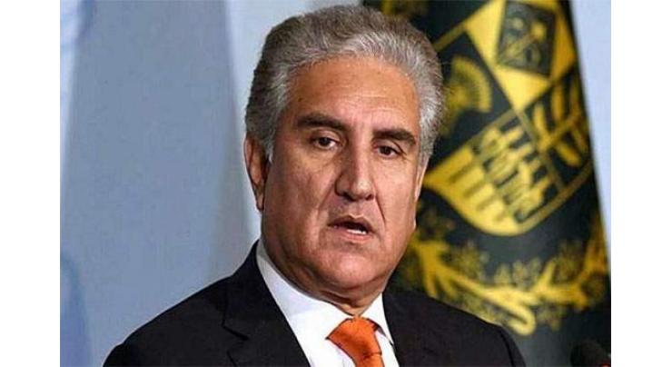 FM Qureshi meets Niger Prime Minister; reiterates Pakistan's support in various sectors
