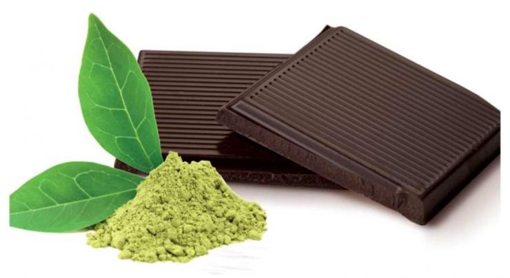 Green tea, dark chocolate may fight against COVID-19 virus: Study
