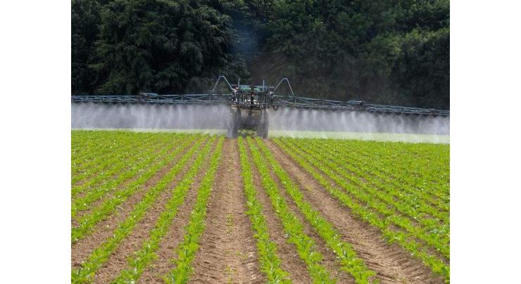 Pesticide ban hammers French sugar beet harvest
