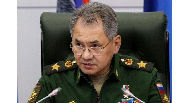 German Defense Ministry Knows About Shoigu's Criticism of Counterpart, Chose Not to React