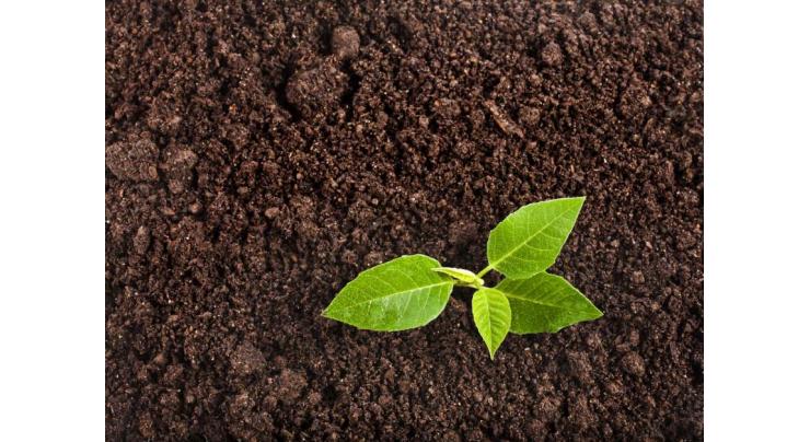 World soil day to be marked on saturday
