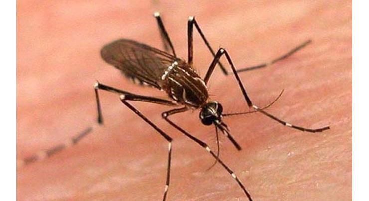 Citizens urged to observe cleanliness against dengue virus
