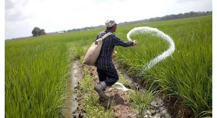 Punjab govt providing Gossyplure on subsidy to progressives farmers
