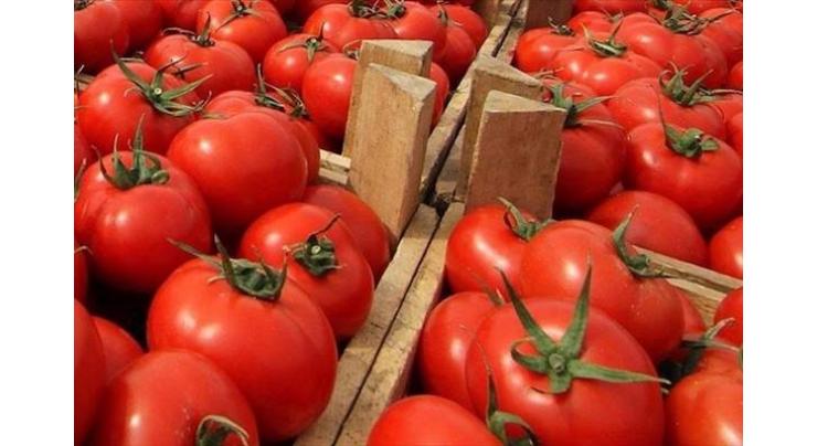 Russian Watchdog Bans Import of Armenian Tomatoes, Peppers Over Pepino Mosaic Virus