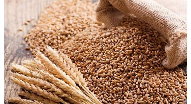 Wheat cultivation completed over 89.7 percent, grain sowed over 9.210 ml hectares
