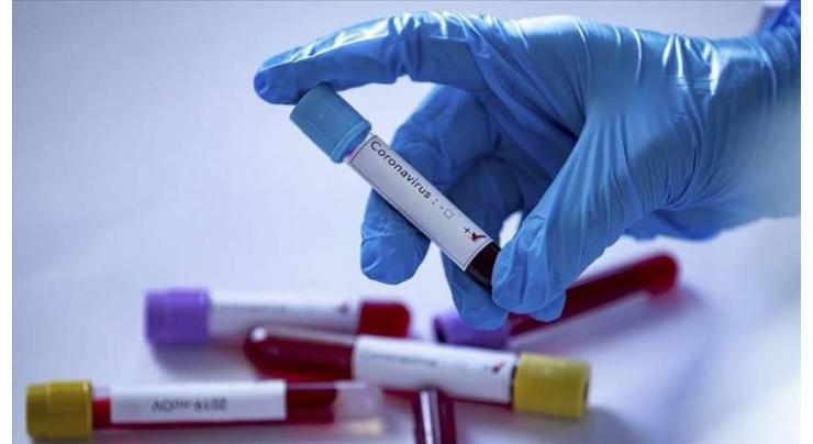 Russia's Siberia, Ural Have Over 50% Positive COVID-19 Antibody Tests Every Day - Company