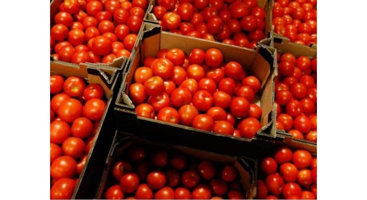 Russian Agriculture Watchdog Allows Tomato Supplies From 34 Uzbek Firms From January 1