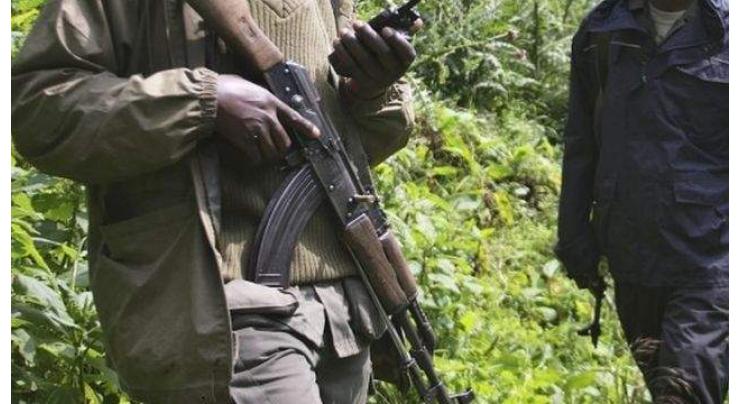 Gunmen Kill 6 National Park Rangers in DR Congo