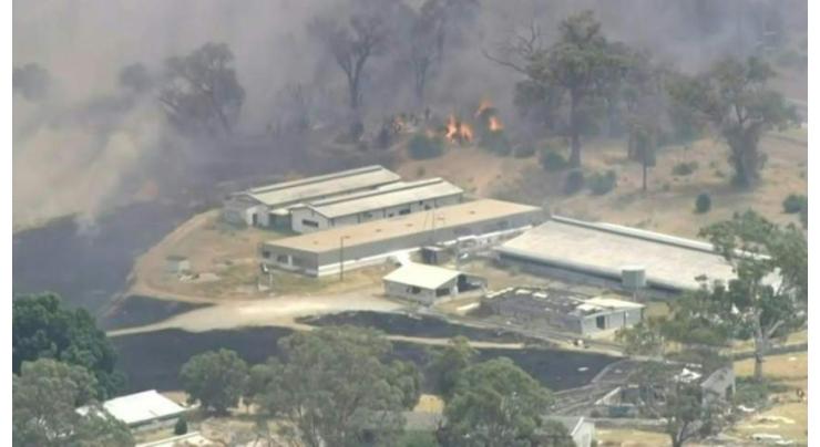 Australian bushfire threatens lives in Perth
