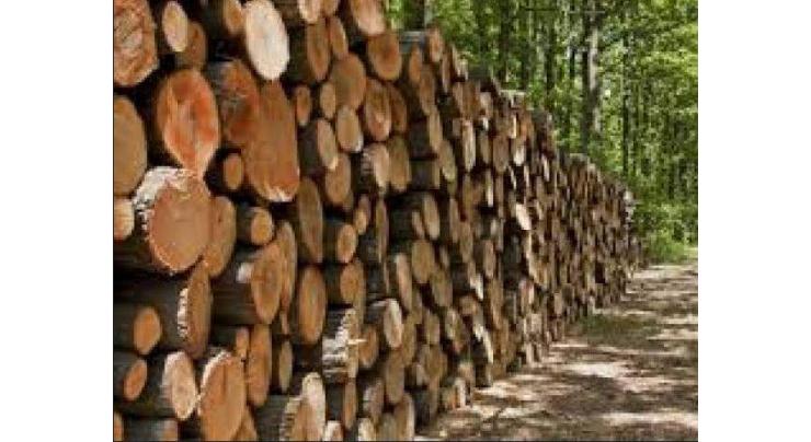 Action against timber mafia ensured
