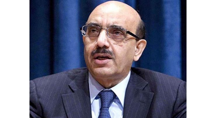 Parliament can play a key role in globalizing Kashmir issue: Masood Khan
