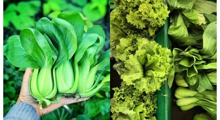 Green leafy veggies may up thinking skills later
