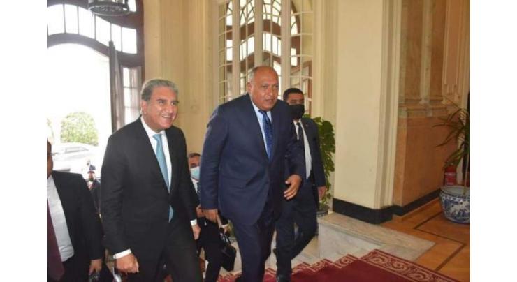 Pakistan, Egypt FMs agree to further strengthen bilateral trade, economic ties in diverse fields
